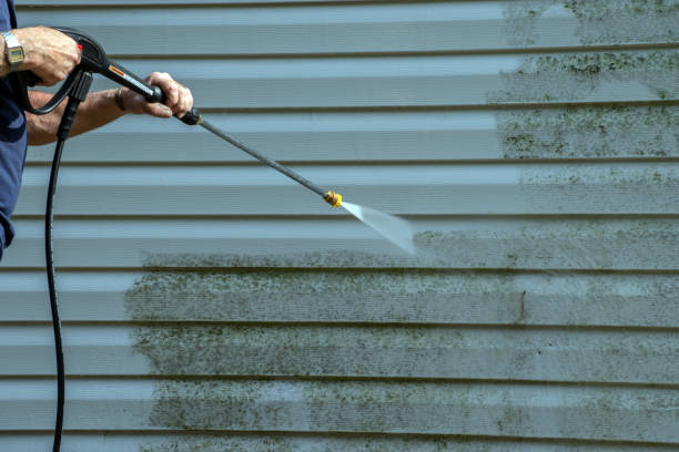 Best Dumpster Area Cleaning  in Arapahoe, WY